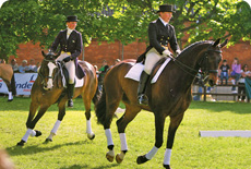 Balmoral Show Balmoral Show